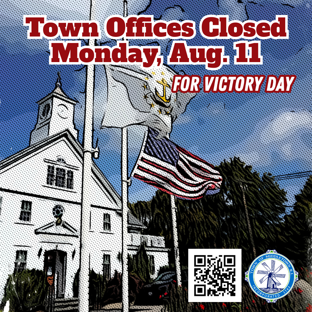 Victory Day Graphic 81125