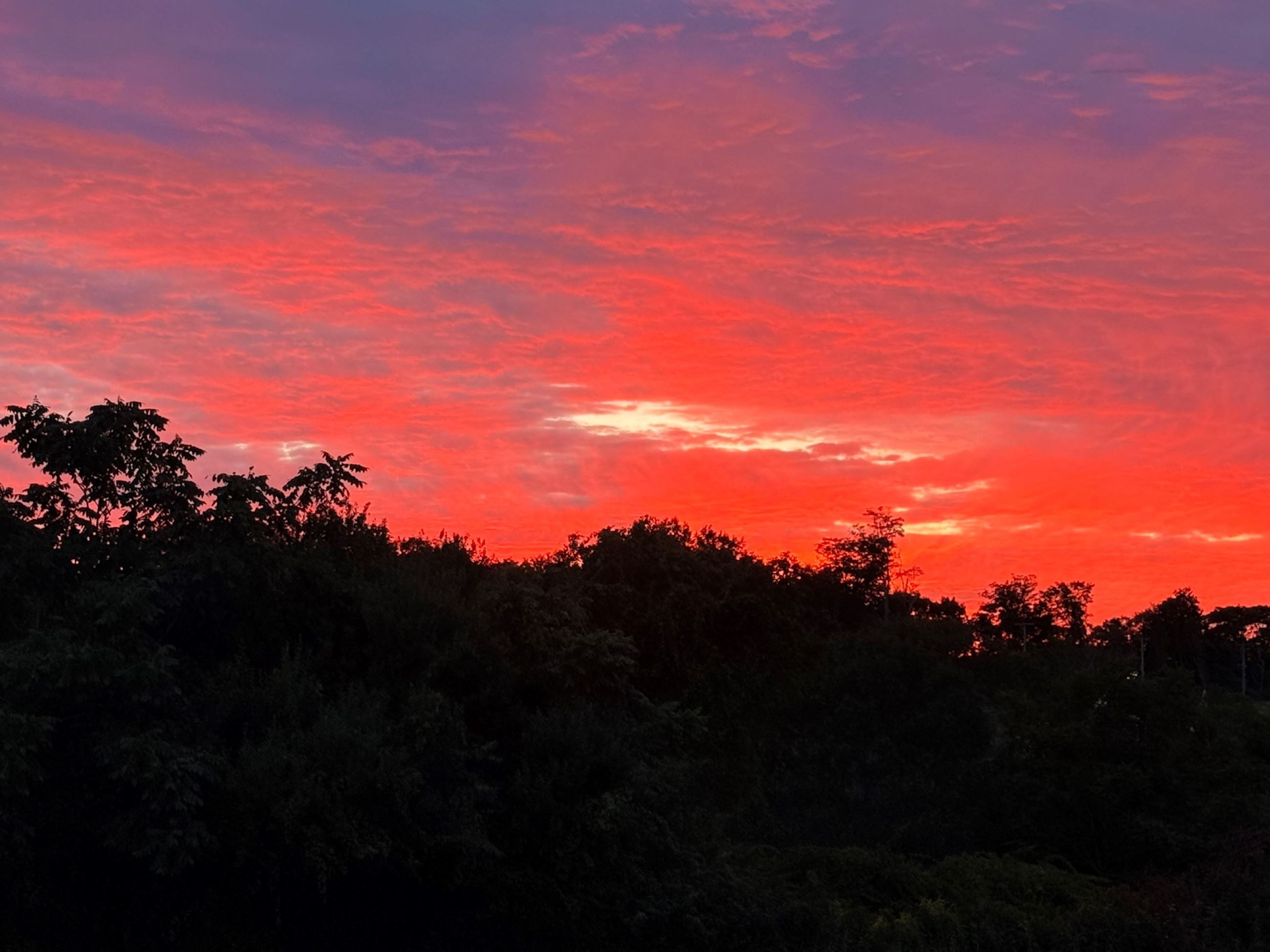 Pink Sunset Labor Day 2025