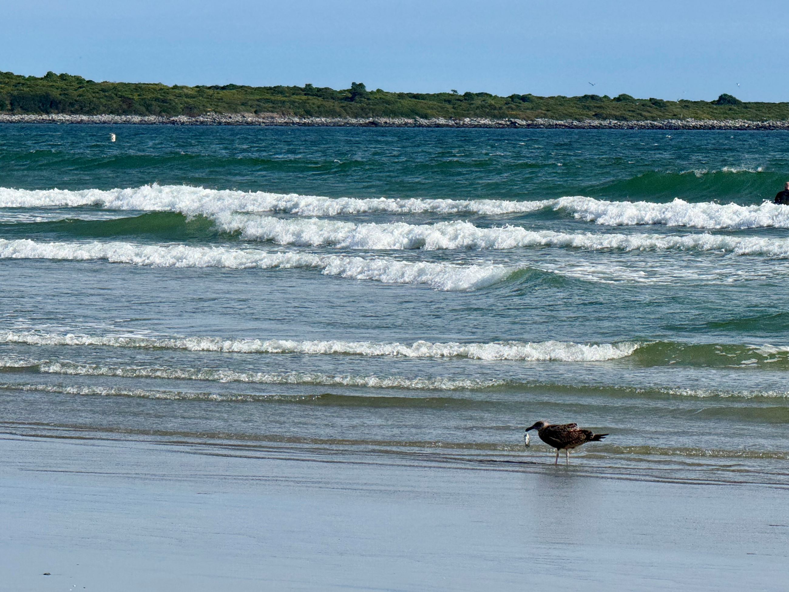 Beauty Shots Of Second Beach In The Off Season 9925 1