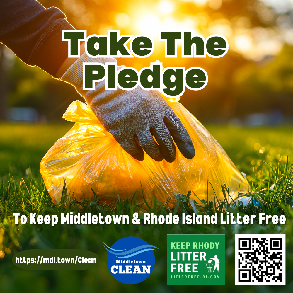Take The Pledge Graphic 92925 Sun With Gloved Hand
