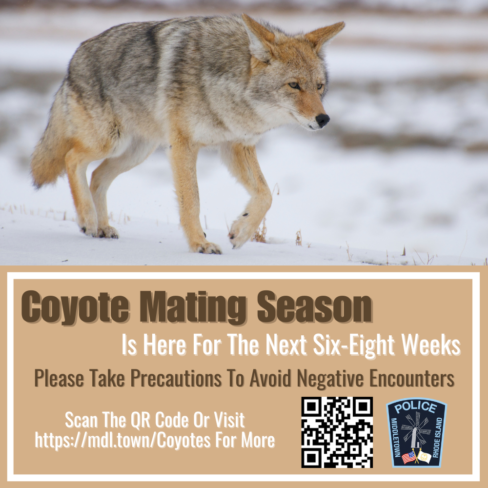 Coyote Public Service Announcement Mating Graphic