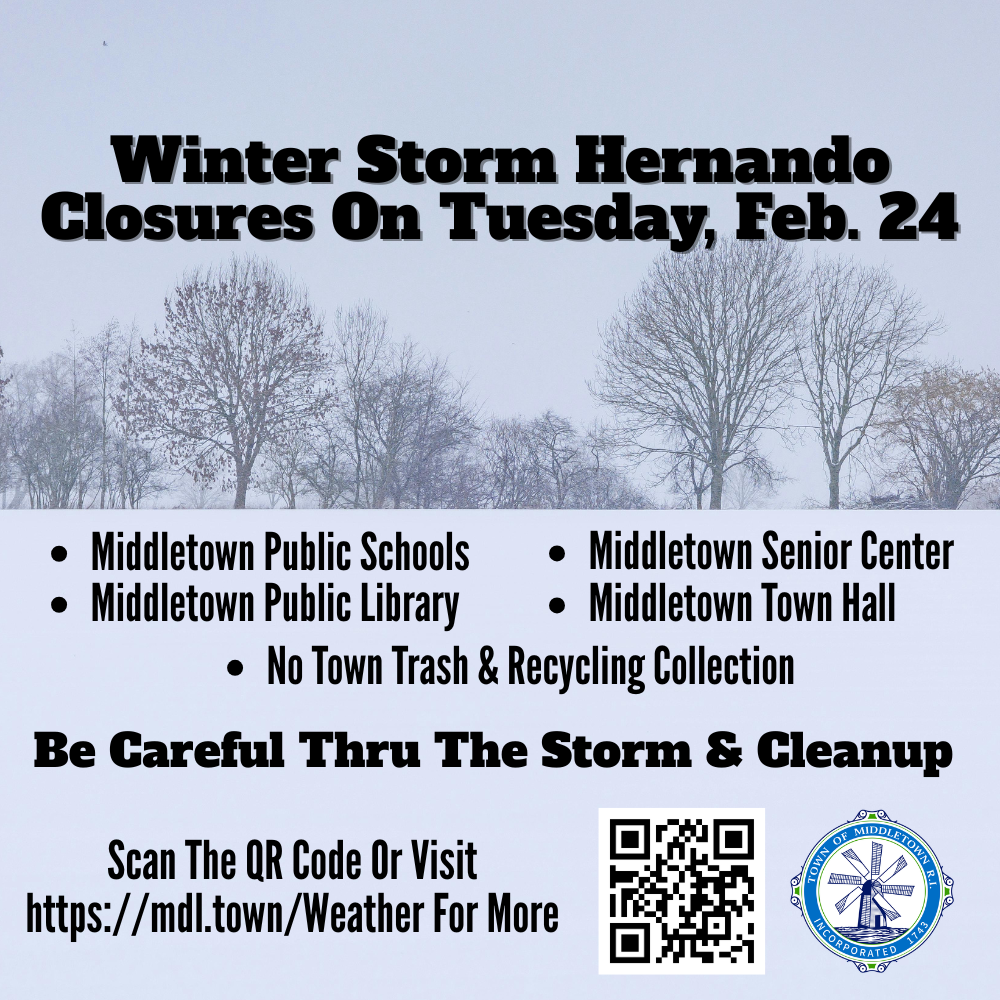 Winter Storm Hernando Closure Box 22326 Snowy Tree Line