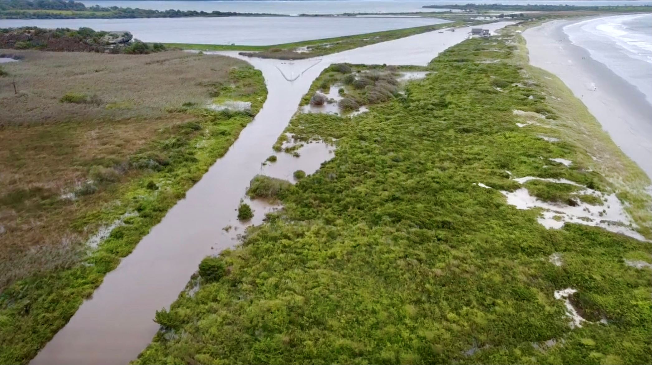 Screen Shot 2021-09-02 at 12.45.55 PM