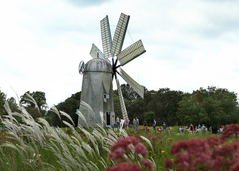 5c454ee279dc6972d0b5f4ba_runofthemilllandscape