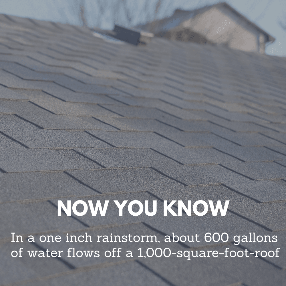 NOW YOU KNOW Roof-2