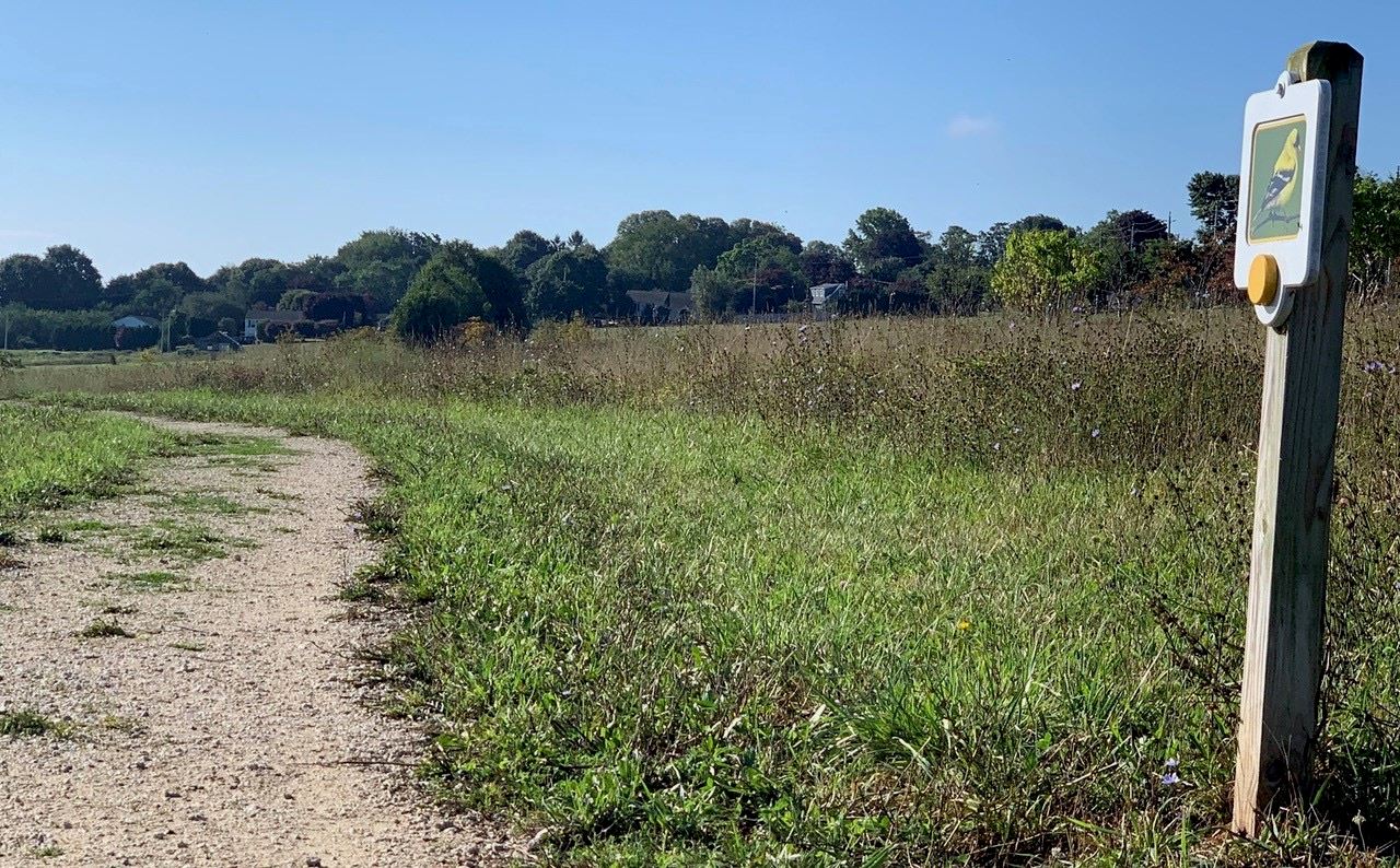 136352637_3562130267174424_5878700761949524035_o