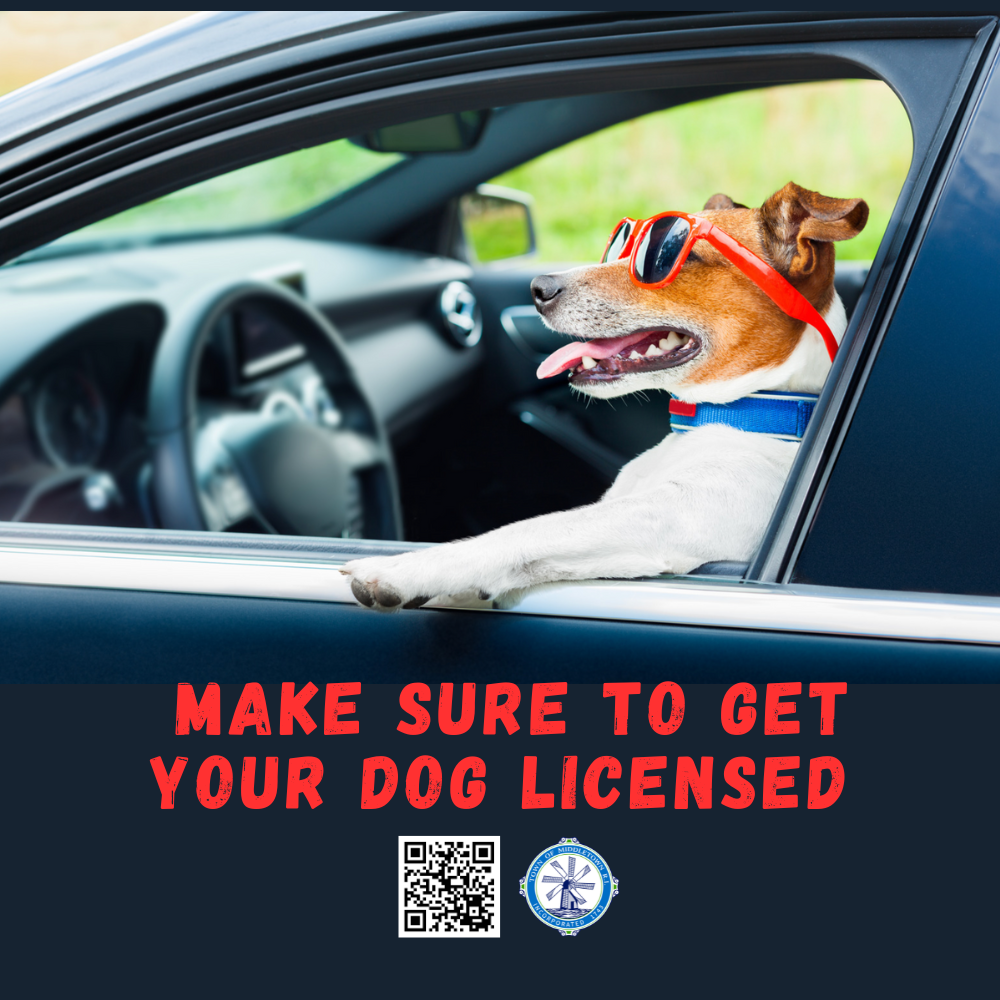 Dog License