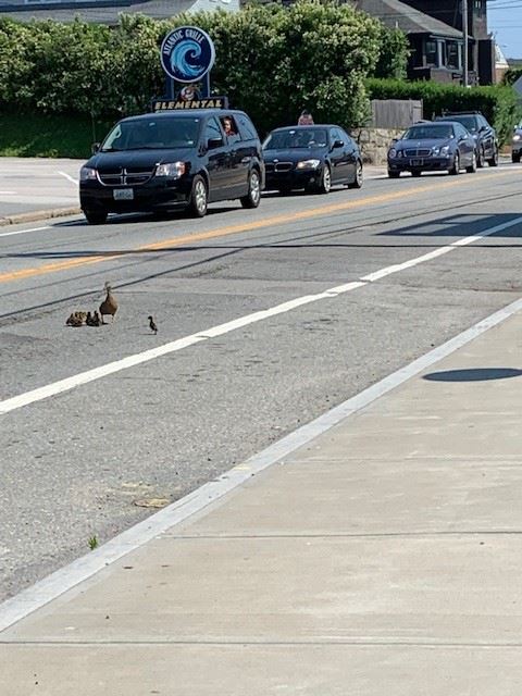 689ED018652446ABB94C44D25CE70F93