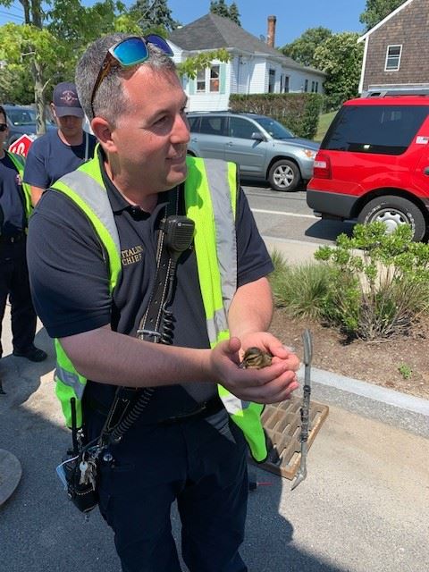 BAF796853E57473ABB7288D93A5703F8