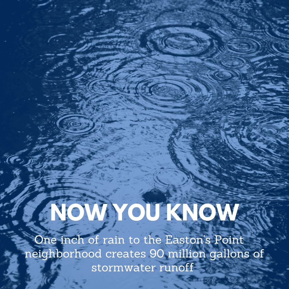 Now You Know Eastons Point