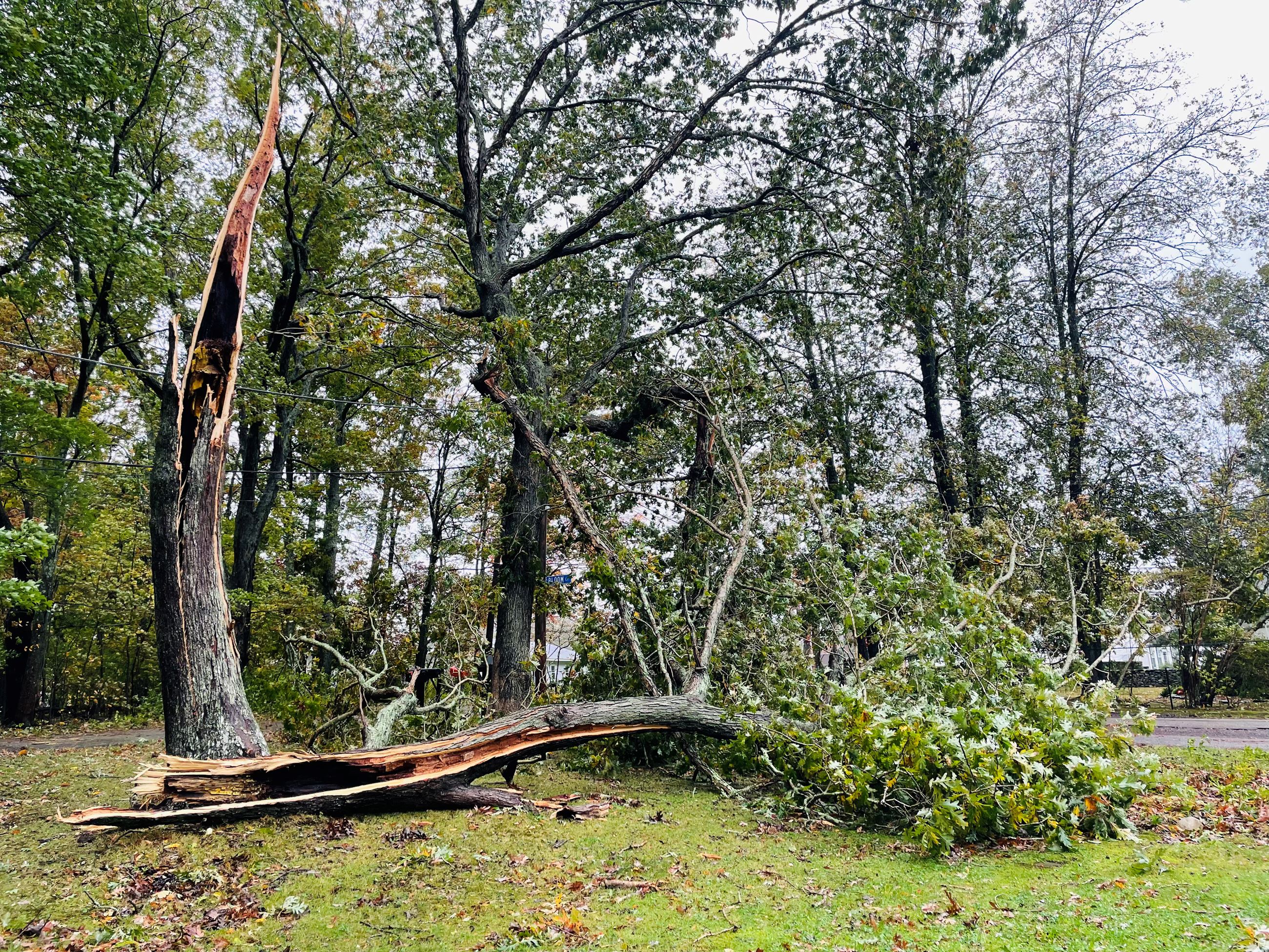 FullSizeRender-preview