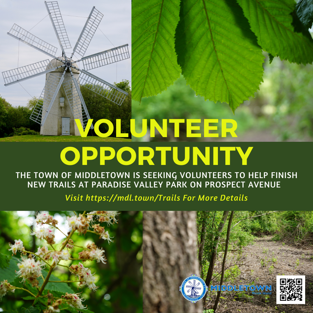 VOLUNTEER OPPORTUNITY-2