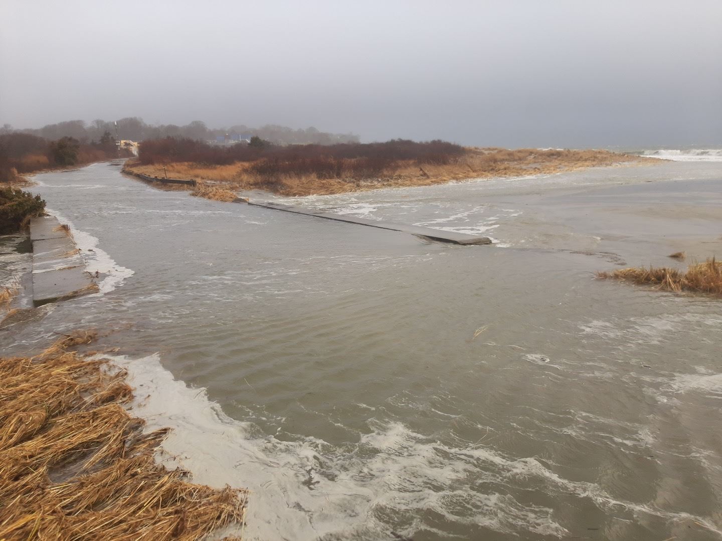 Resized_20221223_081118